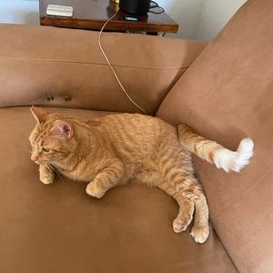 Meet your Posher, Katherine